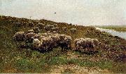 Sheep on a dyke Mauve, Anton
